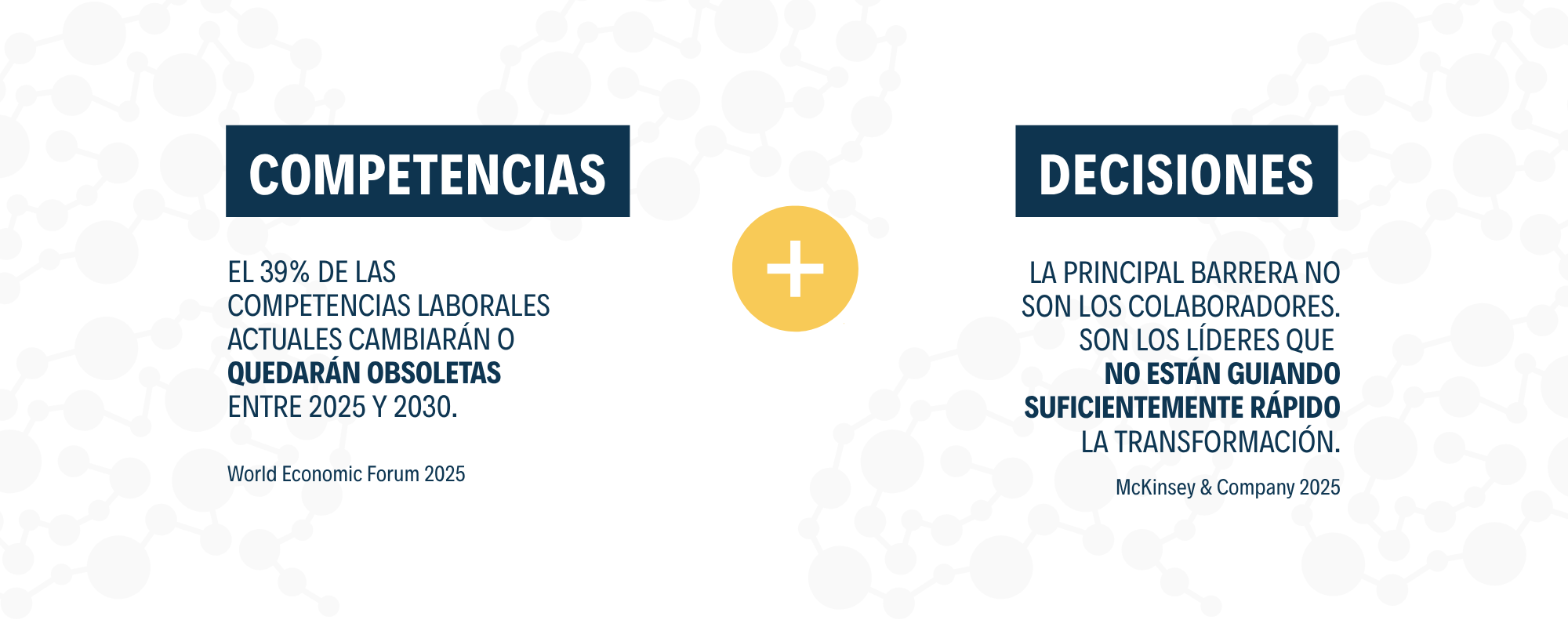 La Plataforma y Competencias
